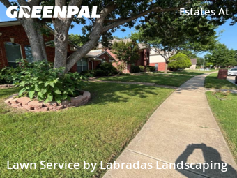 Lawn Mow nearby Plano, TX, 