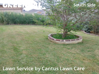 Lawn Servicein San Antonio,78223,Lawn Cut by Cantus Lawn Care , work completed in Oct , 2025