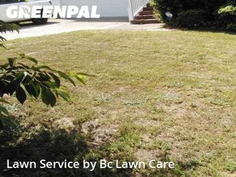 Lawn Care nearby Wake Forest, NC, 