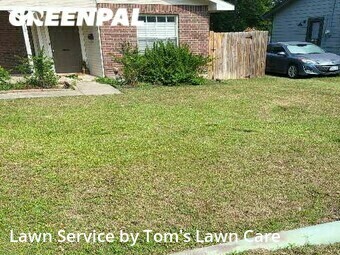 Lawn Care nearby Mc Kinney, TX, 