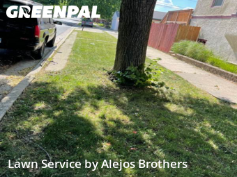 Lawn Upkeep in Berwyn, 60402, Grass Cutting by Alejos Brothers, work completed in Aug , 2025