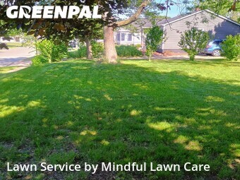 Lawn Cut nearby Ypsilanti, MI, 