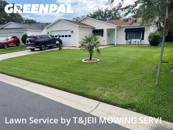 Lawn Cut nearby The Villages, FL, 