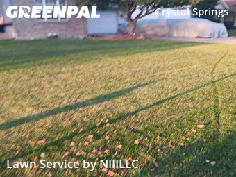 Lawn Service nearby Grand Rapids, MI, 
