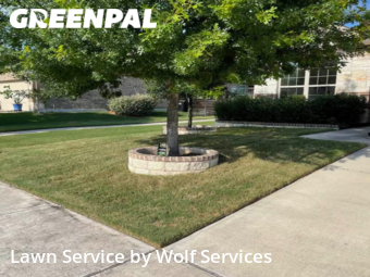 Lawn Maintenance nearby Hutto, TX, 