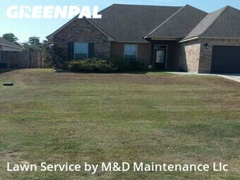 Grass Cut nearby Denham Springs, LA, 