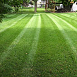 affordable-landscaping-maintenance-services-in-Maple Grove-MN