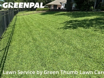 Grass Cut nearby Mc Kinney, TX, 