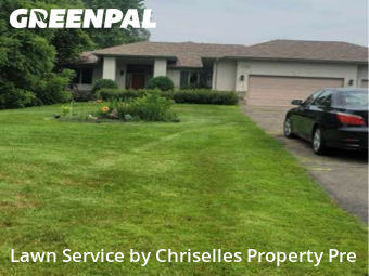 Lawn Mowing Service nearby Hopkins, MN, 