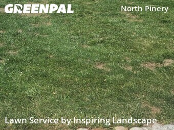 Lawn Cut nearby Parker, CO, 