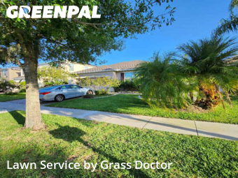 Lawn Cut nearby Orlando, FL, 