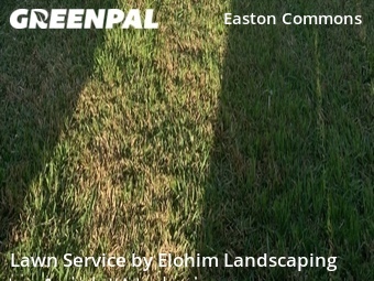 Lawn Service nearby Houston, TX, 