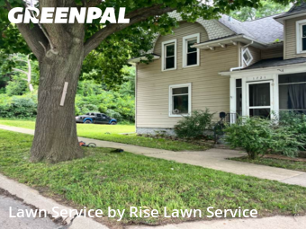 Yard Care in East Moline, 61244, Yard Work by Rise Lawn Service, work completed in Nov , 2025