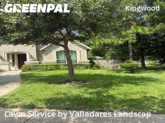 Lawn Mowing Service nearby Houston, TX, 
