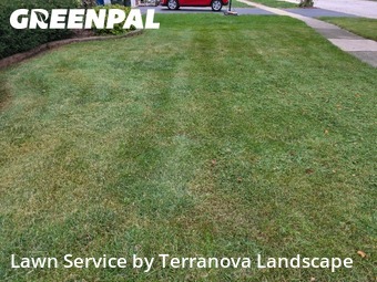 Weed Trimming in Woodridge, 60517, Yard Management by Terranova Landscape, work completed in Nov , 2025