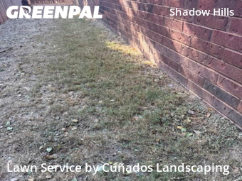 Grass Cut nearby Lubbock, TX, 