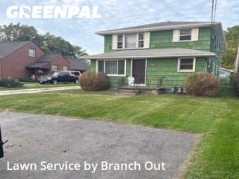 Lawn Cutting nearby Buffalo, NY, 