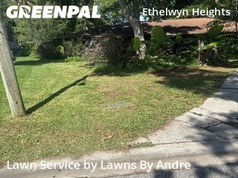 Lawn Mow nearby Port Orange, FL, 