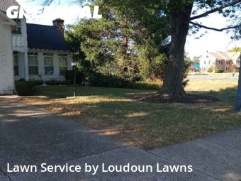 Backyard Mowing in Ashburn, 20147, Grass Services by Loudoun Lawns, work completed in Nov , 2025
