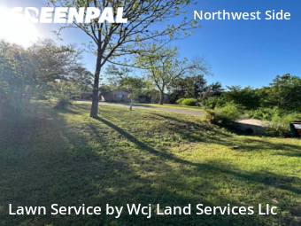 Lawn Cut nearby Helotes, TX, 