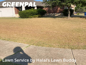 Yard Cutting nearby Grand Prairie, TX, 