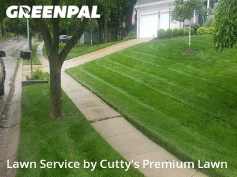 Lawn Care nearby Kansas City, MO, 