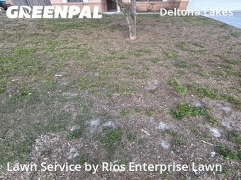 Grass Cutting nearby Deltona, FL, 