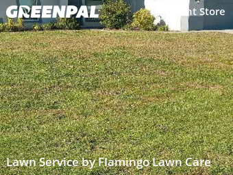 Lawn mowed in Cape Coral, 33993