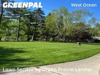 Yard Cutting nearby Woodstock, IL, 