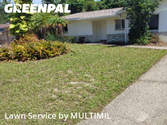 Yard Mowing nearby Palm Harbor, FL, 