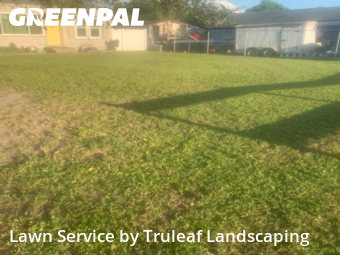 Lawn Care nearby Bradenton, FL, 
