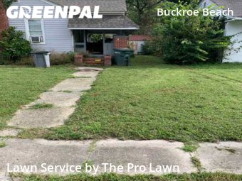 Lawn Cutting nearby Hampton, VA, 