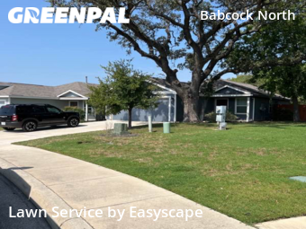 Lawn Maintenance nearby San Antonio, TX, 