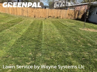 Grass Cut nearby Columbia, MO, 