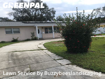 Yard Cutting nearby St. Petersburg, FL, 