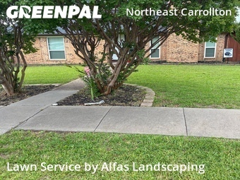 Lawn mowed in Carrollton, 75007