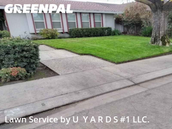 Work completed by cheap-lawn-cutting-businesses-in-Modesto-CA
