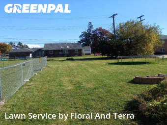 Work completed by local-lawn-care-services-in-Roseville-CA