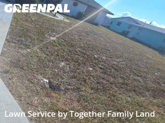 Grass Cutting nearby Port Charlotte, FL, 