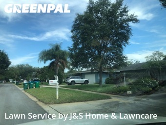 Lawn Cut nearby Clearwater, FL, 