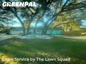 Lawn Care Service nearby Spring Hill, FL, 