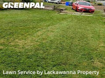 Grass Cutting nearby Scranton, PA, 