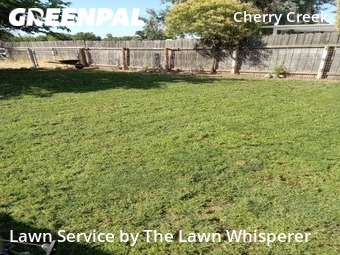 Lawn Mowing nearby Elverta, CA, 