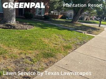 Yard Cuttingin Frisco,75035,Lawn Care Service by Texas Lawnscapes, work completed in Dec , 2025