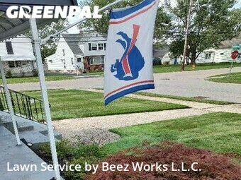 Grass Cut nearby Cheektowaga, NY, 