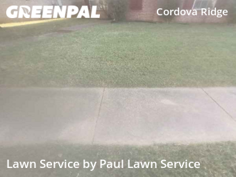 Lawn Service nearby Shelby County, TN, 