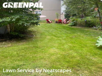 Lawn Maintenance nearby Puyallup, WA, 