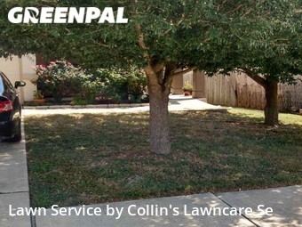 Lawn Cut nearby Del Valle, TX, 
