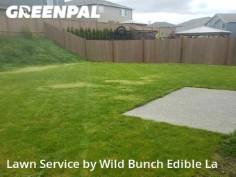 Lawn Care Service nearby Lacey, WA, 