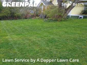 Grass Cut nearby Bellingham, WA, 